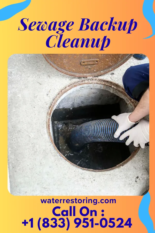 Sewage Backup Cleanup in Lannon, WI