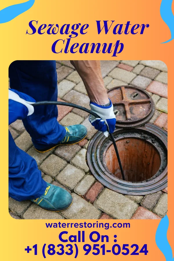 Sewage Water Cleanup in Lannon, WI