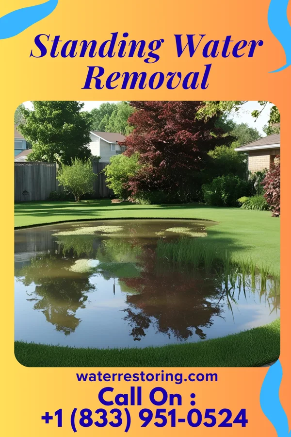 Standing Water Removal in Lannon, WI